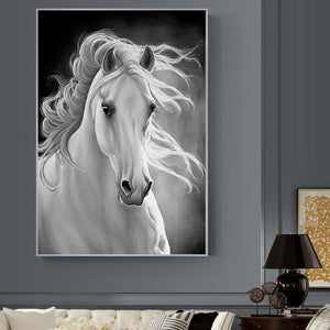 Pegasus Collection